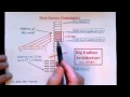 Lecture Storing Numbers in Memory and Byte Ordering
