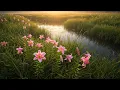 Download Lagu Красивая утренняя музыка! Нежная музыка, успокаивает нервную систему и радует душу