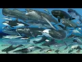 Whale Life-span Comparison 3D Animation Realistic World Data