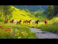 Download Lagu Самая красивая музыка для сердца🌺Слушайте и чувствуйте умиротворение🌿Сергей Грищук