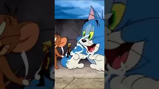 اغنية قلبى حبيب قلبى بدمنو فيديوهات جميلة 