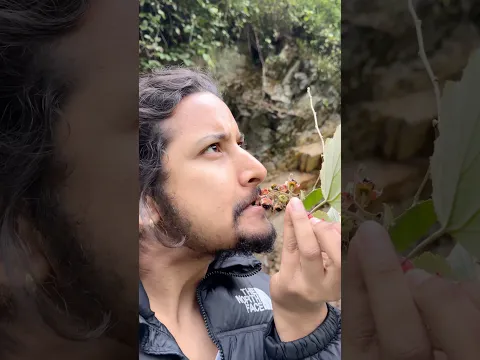 “Pahadi Berries”  #hungrygadwali