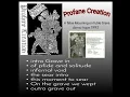 Download Lagu Profane Creat¡on(Mys) - A false mourning on futile grave (Demo'93)