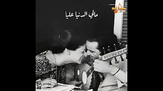 نسيت أسمي كمان  نسيت أسمي كمان