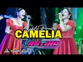 Download Lagu CAMELIA || SABILA PERMATA || NEW ASTINA LIVE BENDO MAGETAN - DHEHAN AUDIO