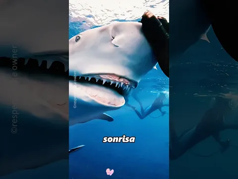 Esta chica salvó a un tiburón bebé#shorts