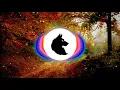 Misc.Inc - Vibes