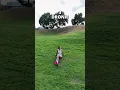 Download Lagu Master All 5 DJI Neo QuickShots! | Drone Tutorial \u0026 Tips #Shorts