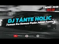 Lagu DJ TREND TANTE HOLIC • TEMAN KU SEMUA PADA JAHAT TANTE VIRAL TIKTOK 2026
