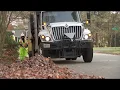 Leaf Collection 2019