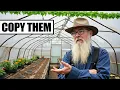 How Amish Heat a Greenhouse Without