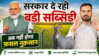 नीलगाय, जंगली जानवरों से बचाएं फसल | सरकार दे रही भारी सब्सिडी | #ABCINDIA #GovernmentScheme