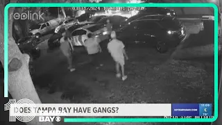 Does the Tampa Bay area have gangs