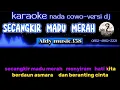 Download Lagu KARAOKE SECANGKIR MADU MERAH | NADA COWO VERSI DJ ALDY MUSIC358 | LAGU VIRAL SAAT INI
