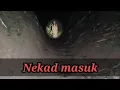 Download Lagu Nekad Masuk Lorong Angker