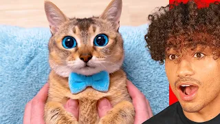 Try Not To Say *AWW* Challenge!