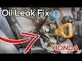 Honda Odyssey Front VTEC Solenoid Leak Fix DIY