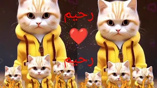  رحيم رحيم قلبى ياناس  اغنية باسم رحيم حيمو   اغنيه رحيم رحيم  الجزائر فلسطين العراق السعودية الكويت دندنها