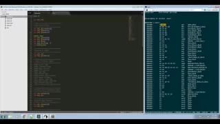 02 System Hacking - Writing Shellcode