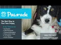 The Pawrade Process