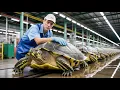 Inside the Turtle Leather Factory — How Giant Turtle Shells Become Luxury Bags (Full Process)