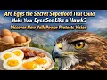 Are You Ignoring Eggs Why a Simple Breakfast Could Help You Keep Sharp Vivid Vision for Life