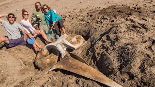 Ep. 27 Sailing Vessel Prism; The beginning of the forgotten coast