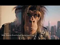 งมงาย - Bodyslam [Cover] By Brutal Monkey Brand [ลิงร็อค]
