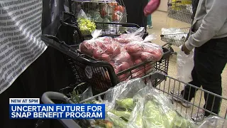 Nearly 2 million Illinoisans set to lose SNAP benefits amid congressional stalemate