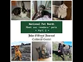John O Groat Journal and Caithness Courier readers share more pet pictures for National Pet Month