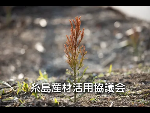 【41年の経験】出張撮影いたします、ご自宅にセットを組んでの撮影もできます。