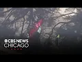 Chicago-area murder suspect crashes during police pursuit in Los Angeles