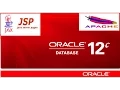 How to invoke oracle plsql function from jsp