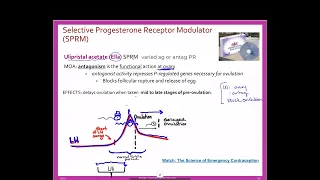 Female Sex Hormones Ella and pharmacology of EC SPRMs 7 of series