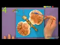 Mister Maker Shell Beautiful/Diving Part 4