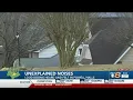 Unexplained Powell Boom