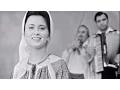 Download Lagu Vasilica Dinu - Cine trece câmpul mare (1983)