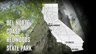 Del Norte Redwoods State Park 