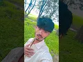 Download Lagu Tujhse Pyar Purana Hai Chhod Kabhi Na Jana