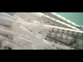 Report CVS Walgreens pharmacies accounted for several wasted vaccines