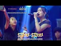 Download Lagu STECU STECU | ADEL SALSABELLA | MAHESA MUSIC LIVE KARANGPLOSO MALANG JATIM 2025