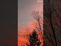 Download Lagu Capture the beauty of nature #sunsetvibes #beauty