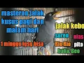 Lagu jalak ngomong ...!ini masteranya kusus pagi dan malam hari