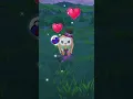 Pokemon GO Halloween Event Part 1 Morpeko Catch Timed Research Hundo Surprise