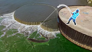 I Caught the Fish of My DREAMS!!! (EPIC Species)
