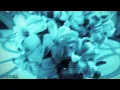 Download Lagu the flower girl (the end of the world version)