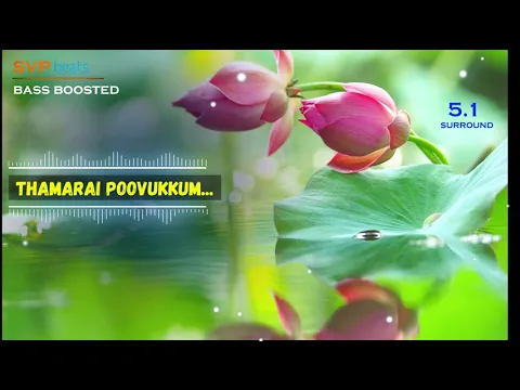 Download MP3 Thamarai Poovukkum ~ Pasumpon ~ Vidyasagar 🎼 5.1 SURROUND 🎧 BASS BOOSTED 🎧 SVP Beats