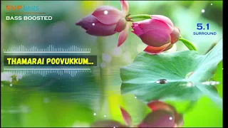 thamarai poovukkum pasumpon vidyasagar 5 1 surround bass boosted svp beats