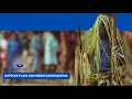 DOCUMENTARY THE SPIRIT OF OGUN A Journey Through Ire-Ekiti Heritage