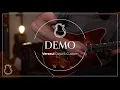 Versoul Raya 6 Custom electric guitar demo